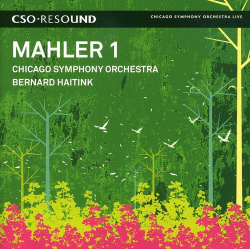 Mahler, G.: Symphony No. 1