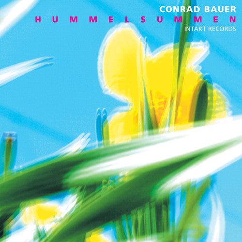 HUMMELSUMMEN