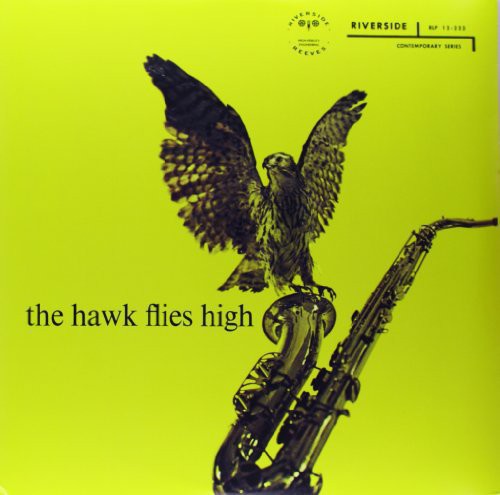 HAWK FLIES HIGH