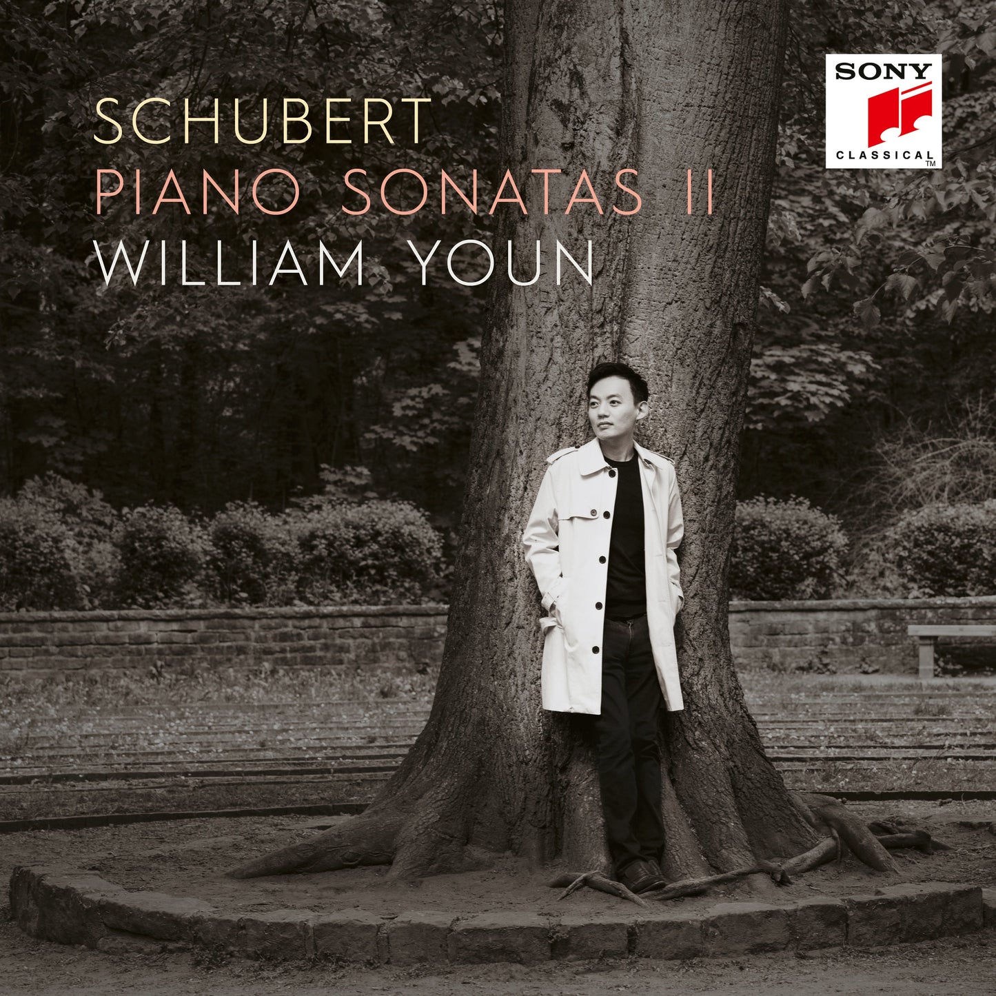 Schubert: Piano Sonatas Ii
