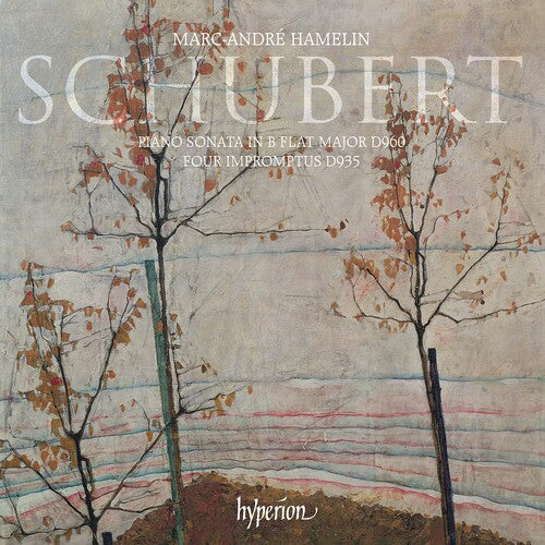 SCHUBERT: PIANO SONATA & IMPROMPTUS