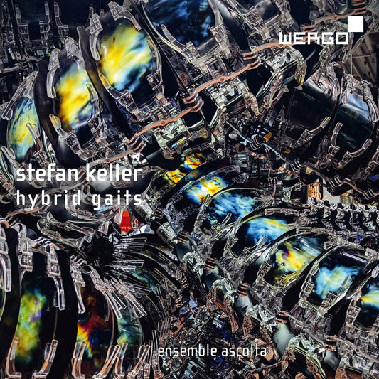 Stefan Keller: Hybrid Gaits