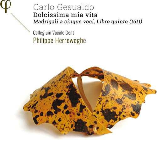 Dolcissima Mia Vita