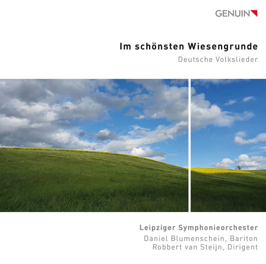Mendelssohn, Mozart, Silcher & Werner: Im schonsten Wiesengr