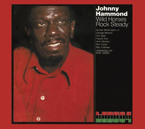 WILD HORSES: ROCK STEADY