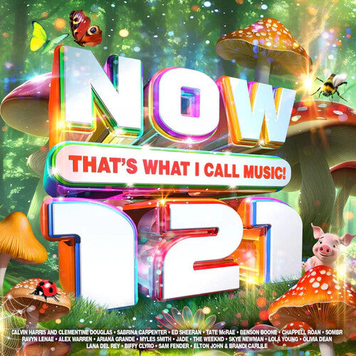 NOW THAT'S WHAT I CALL MUSIC 121 / VARIOUS