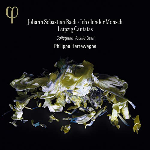 Bach: Ich elender Mensch - Leipzig Cantatas