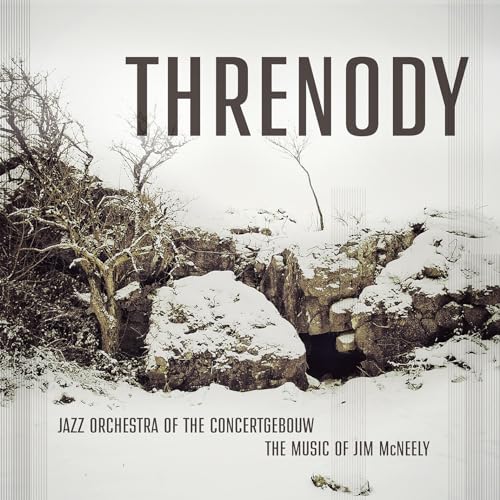 McNeely: Threnody (double-vinyl)