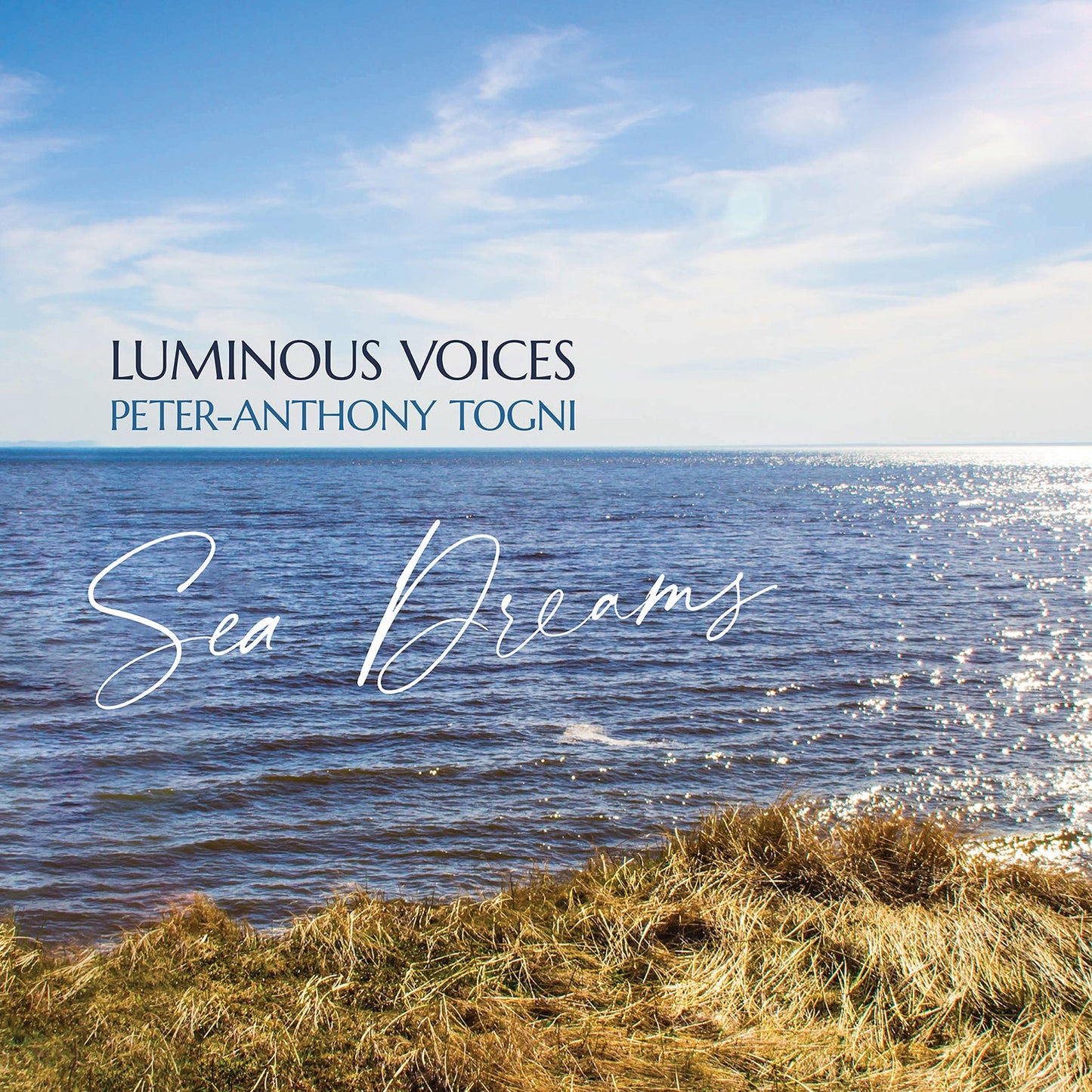 Sea Dreams Luminous Voices