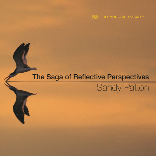 Saga of Reflective Response / Patton Duerst Plizga