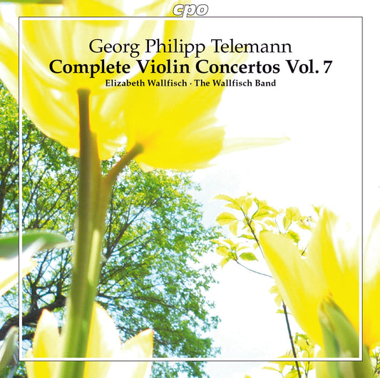 V7: COMPLETE VIOLIN CONCERTOS