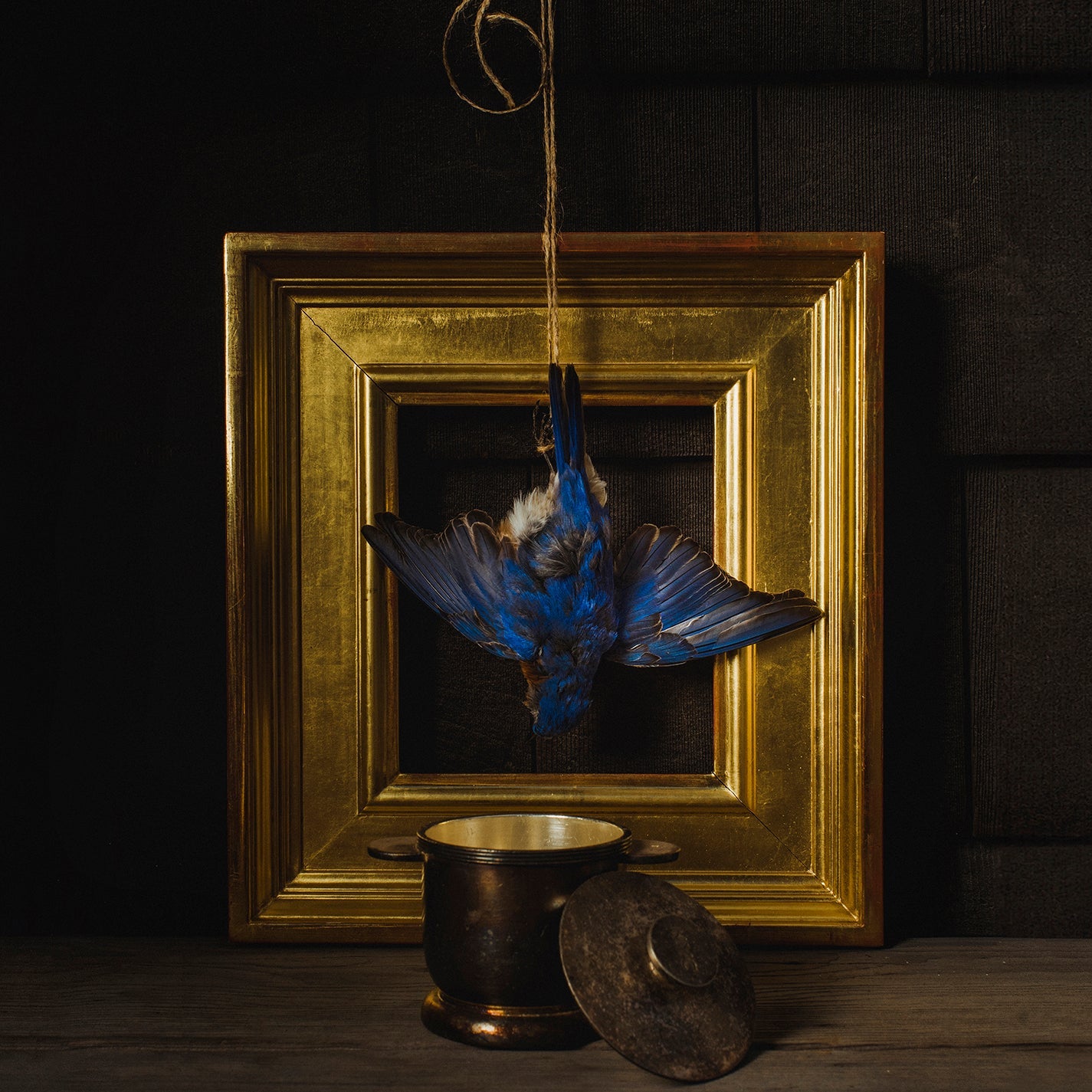 Dickson: The Beholder  Claire Dickson