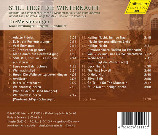 Still liegt die Winternacht