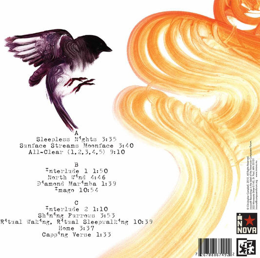 SOUND THE ALL-CLEAR (VINYL)