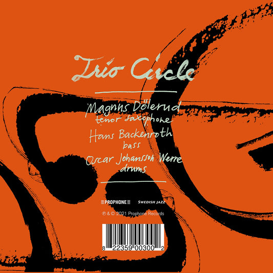 Magnus Dolerud: Trio Circle