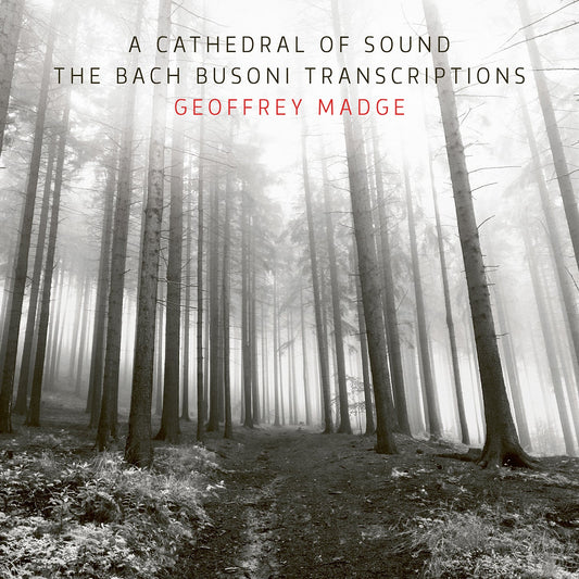 A Cathedral of Sound - The Bach Busoni Transcriptions