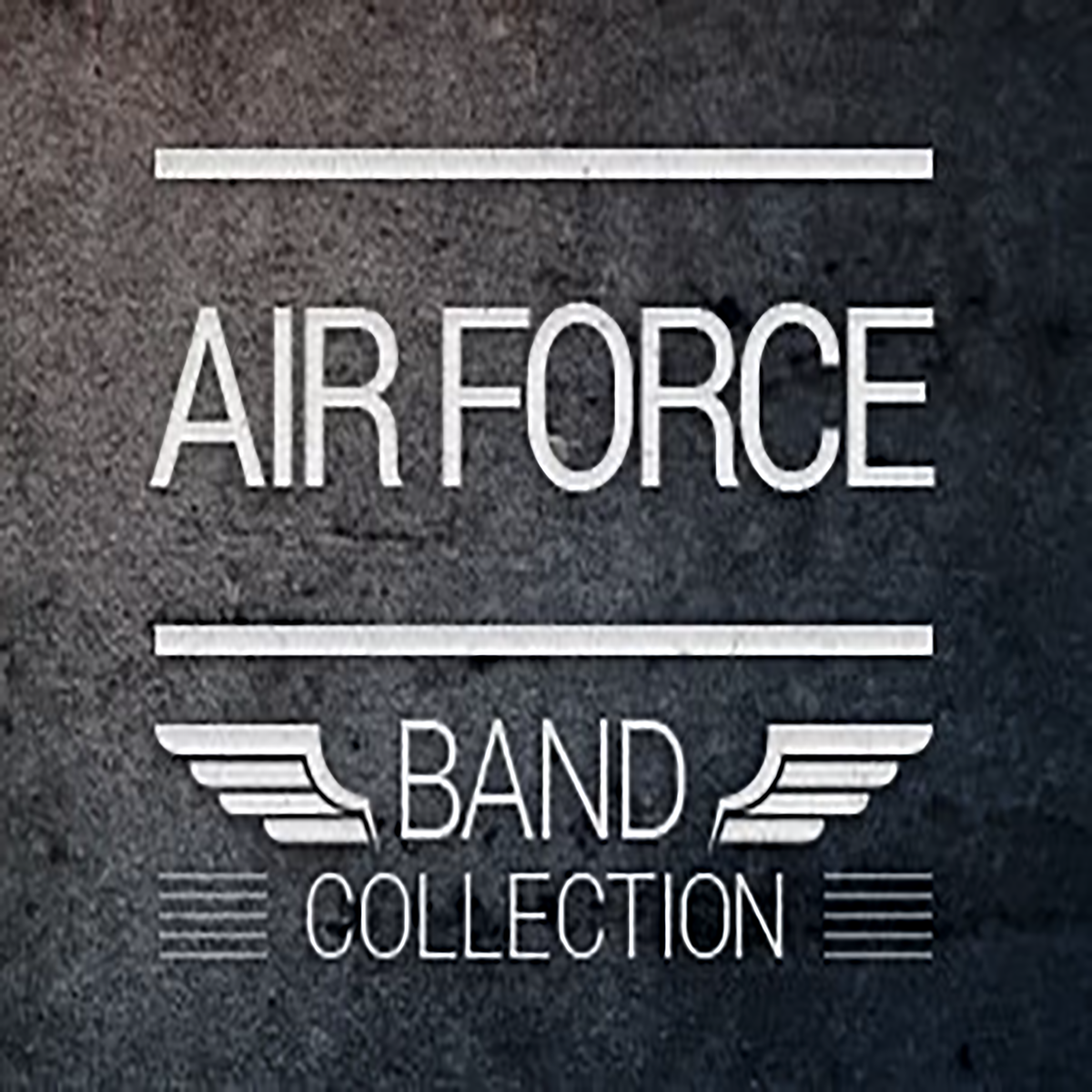 US Air Force