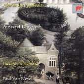 A SECRET LABYRINTH - AGRICOLA