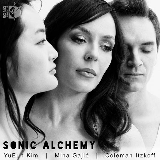 Sonic Alchemy / Kim, Itzkoff, Gajic