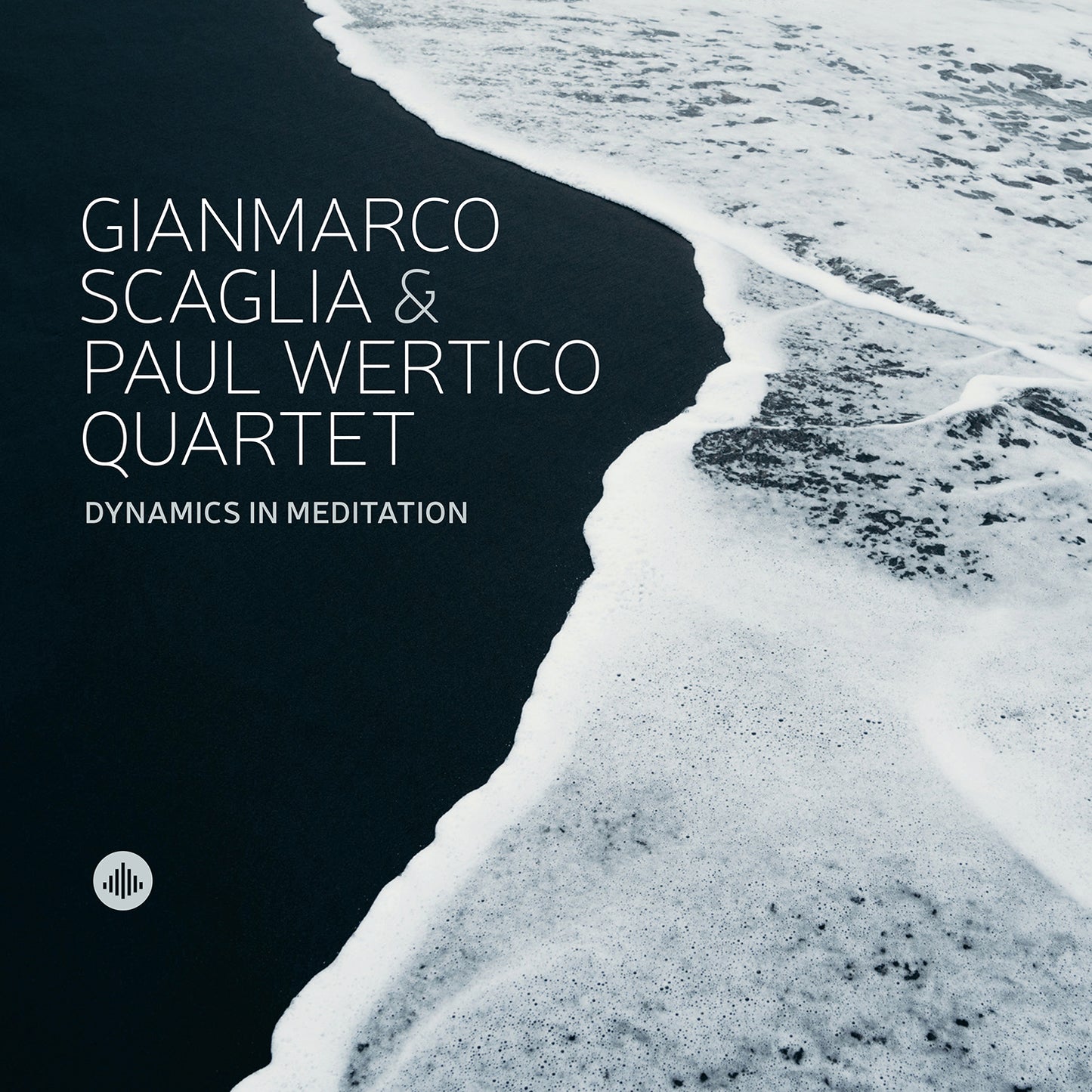 Dynamics In Meditation  Scaglia, Paul Wertico Quartet