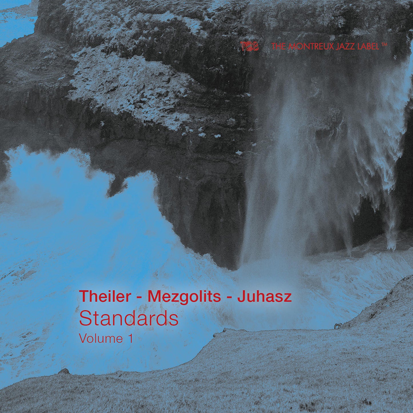 V1: Standards / Marton Juhasz; Yves Theiler