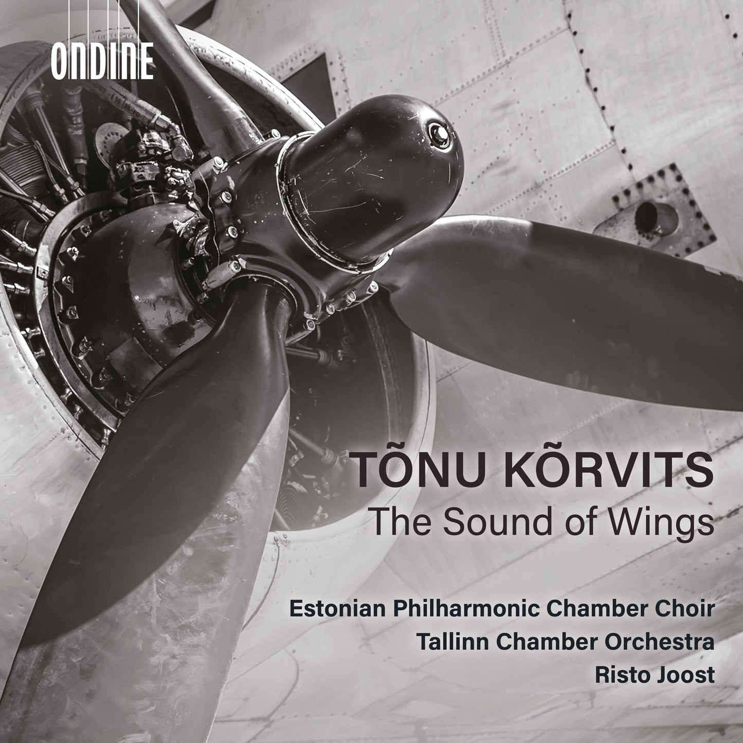 Korvits: The Sound Of Wings