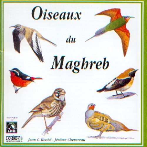 BIRDS OF NORTH-WEST AFRICA