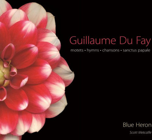 Dufay: Motets
