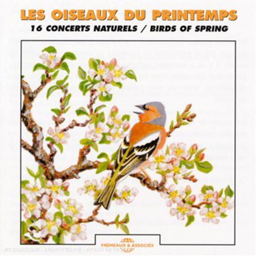 BIRDS OF SPRING