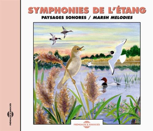 MARSH MELODIES