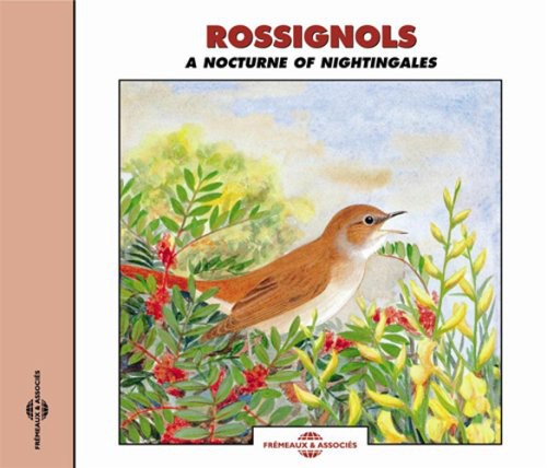 NOCTURNE OF NIGHTINGALES