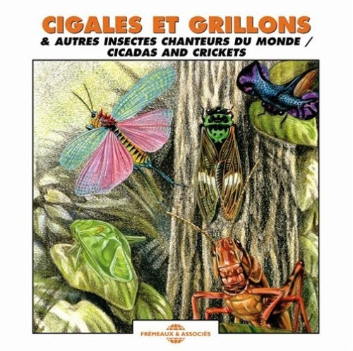 CICADAS & CRICKETS