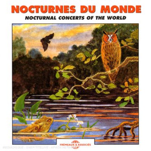 NOCTURNAL CONCERTS THE WORLD