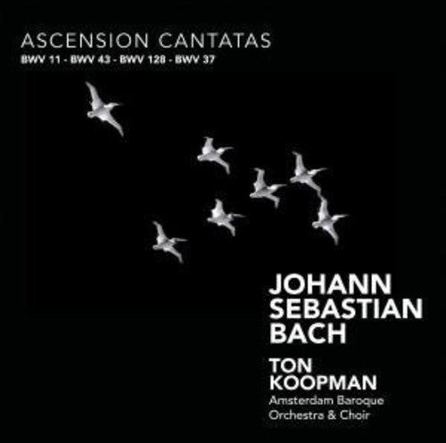 Bach, J.S.: Cantatas (Ascension) - Bwv 11, 37, 43, 128
