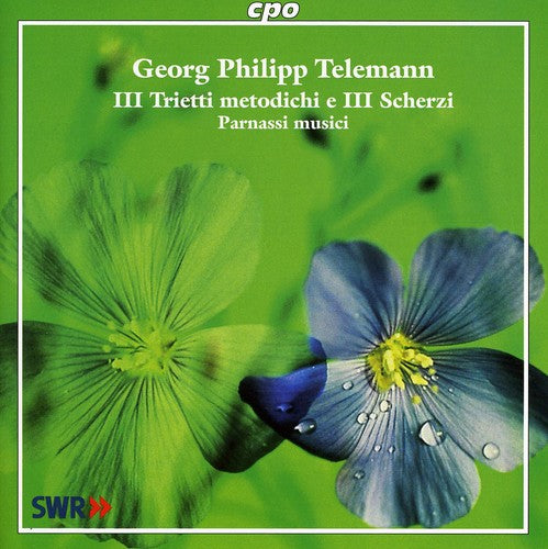 TELEMANN, G.P.: Chamber Music (Parnassi musici)