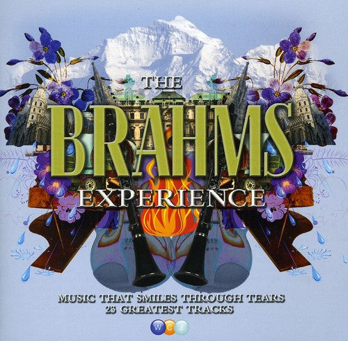 BRAHMS EXPERIENCE
