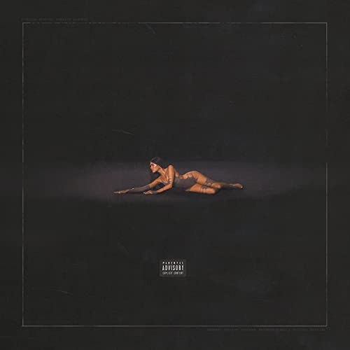 LIFE SUPPORT LP