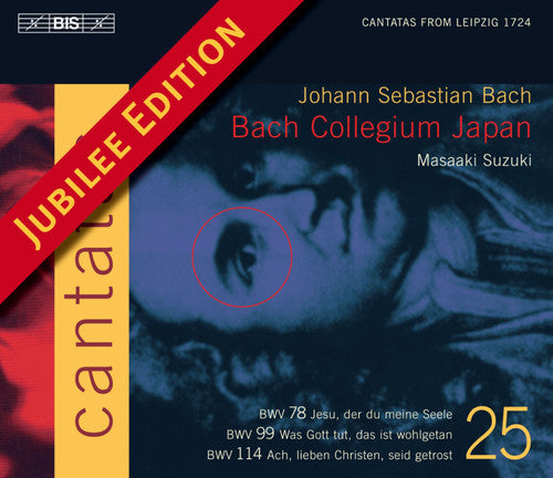 Bach, J.S.: Cantatas, Vol. 25  - Bwv 78, 99, 114