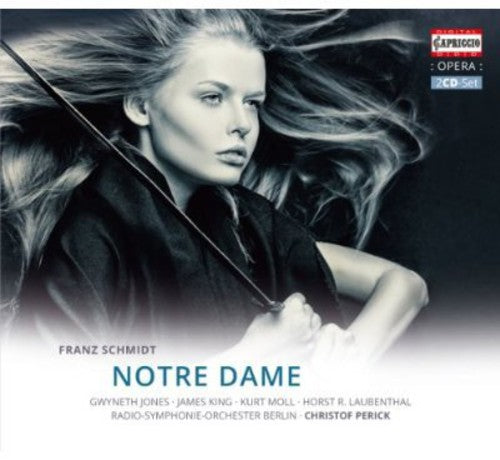 Schmidt: Notre Dame