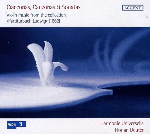 Ciacconas, Canzonas & Sonatas: Violin music from the collect