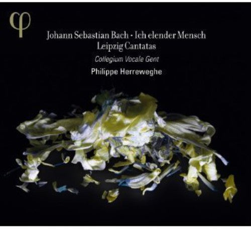 Bach: Ich elender Mensch - Leipzig Cantatas