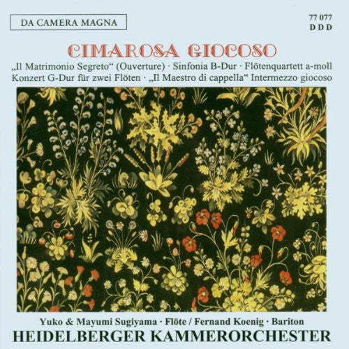 SINFONIA/CONCERTO FOR 2 FLUTES