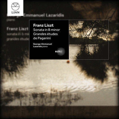 Liszt: Sonatas & Etudes