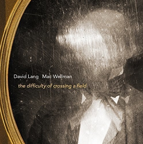 David Lang: The Difficulty of Crossing a Field