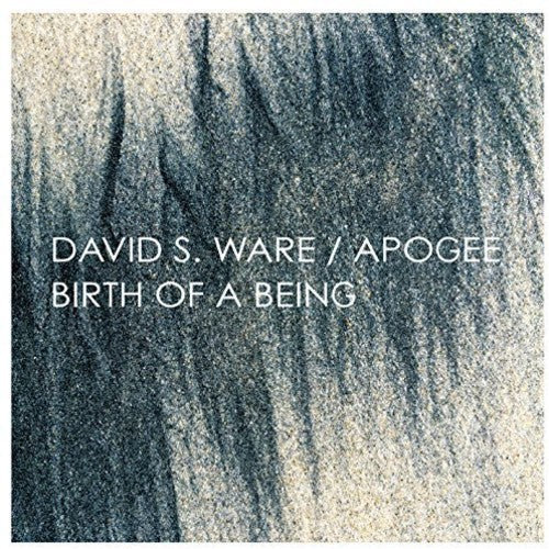 APOGEE / BIRTH OF A BEING