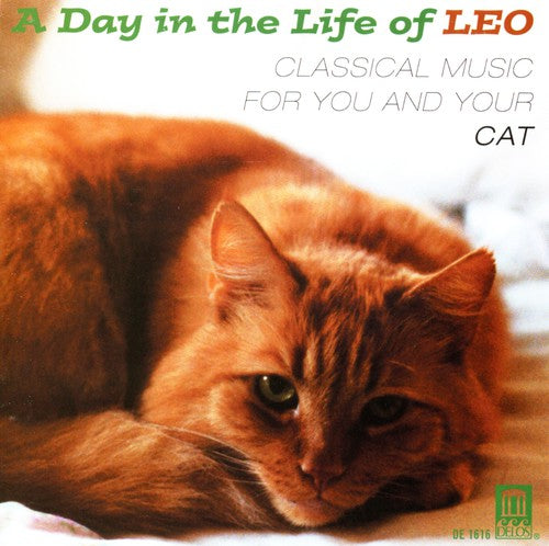 DAY IN THE LIFE OF LEO (A) - Classical Music for You and You