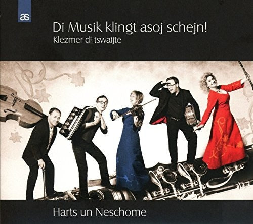 Di Musik klingt asoj schejn! Klezmer di tswaijte