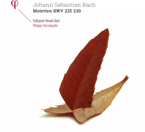 Bach: Motets