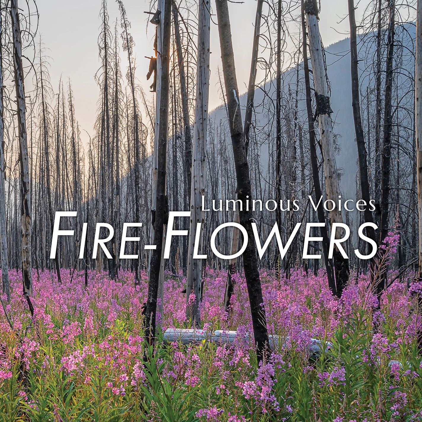 Brahms & Wadsworth: Fire-Flowers