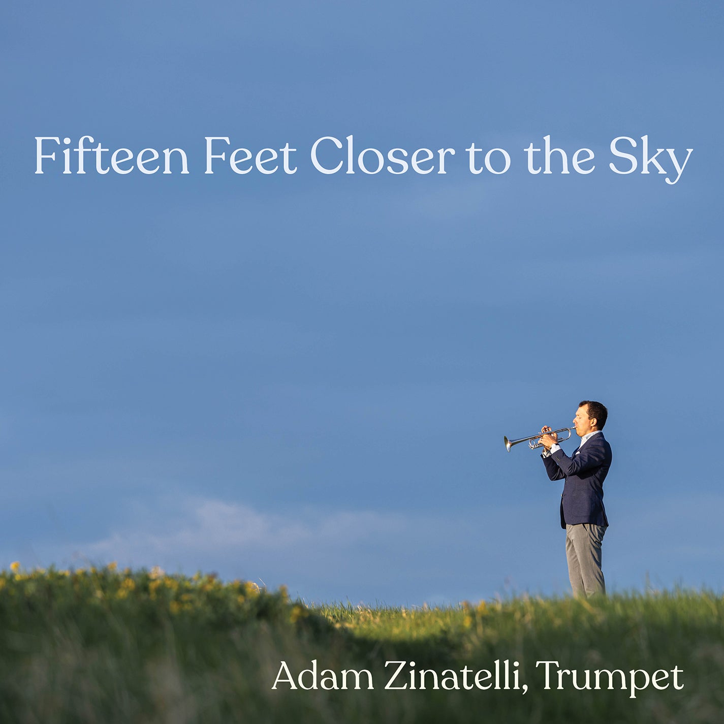 Fifteen Feet Closer To The Sky  Adam Zinatelli